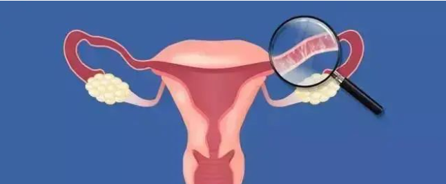 1686448123244984.png 3.png