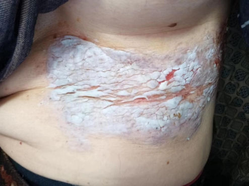 1703400077753792.png 6.png